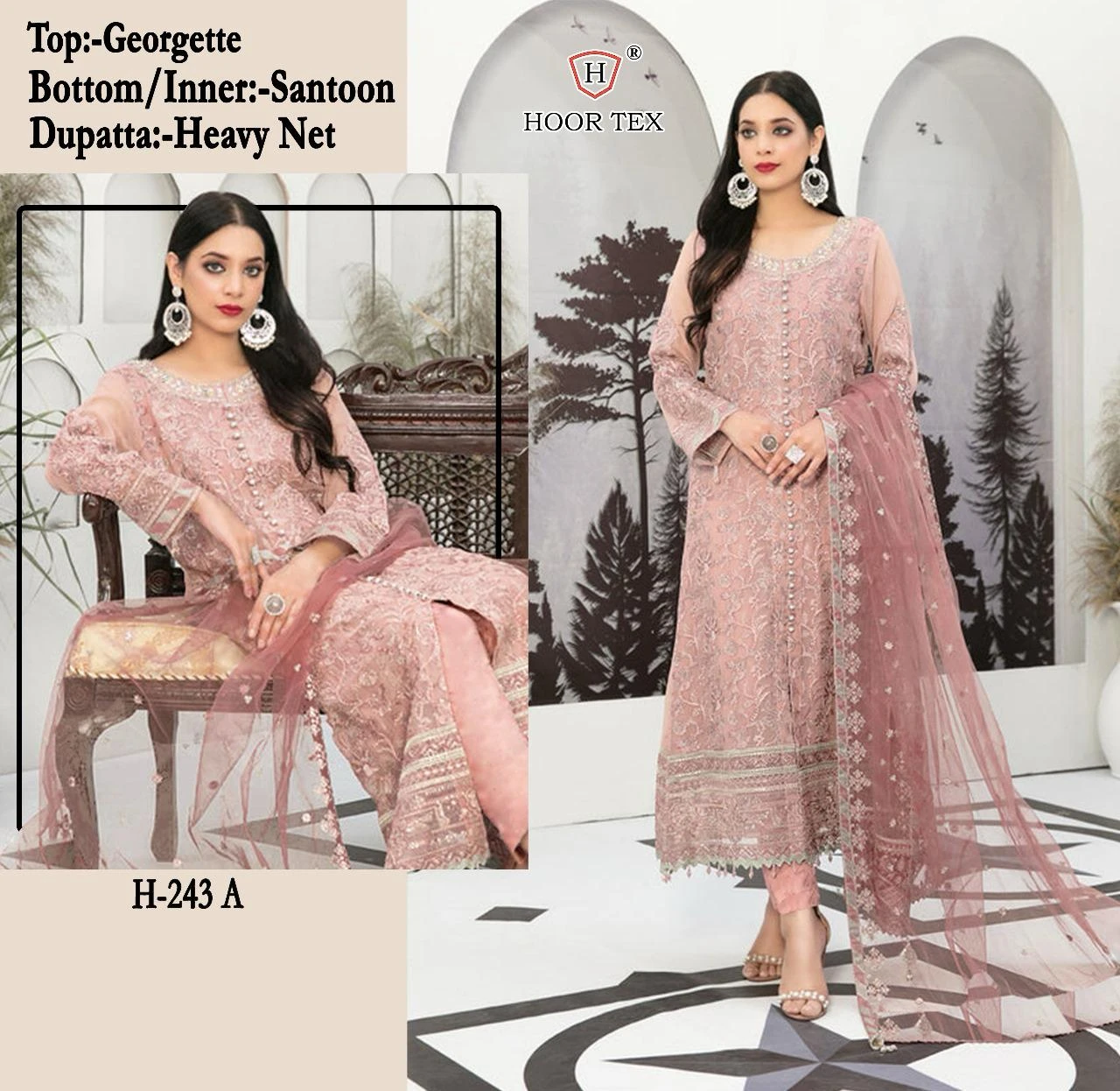 Hoor Tex H-243 Faux Georgette Wholesale Pakistani Salwar Suit Catalog — Wholesale Pakistani Suits, MPA wholesale from Surat - Gallery Image 7